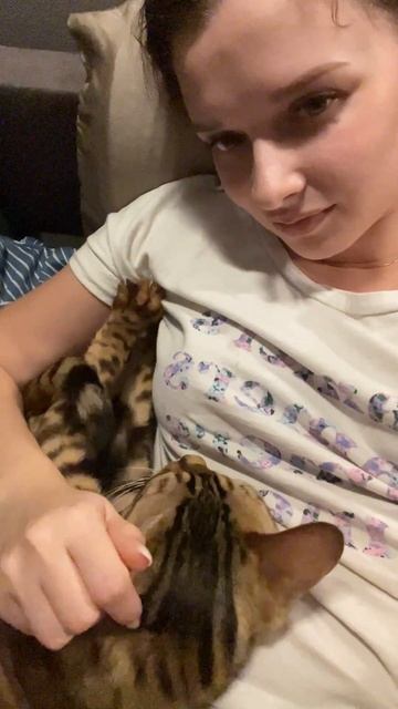 ИГОЛЬЧАТЫЙ МАССАЖ 😁 #кот #shorts #cats #shortscat смотреть онлайн