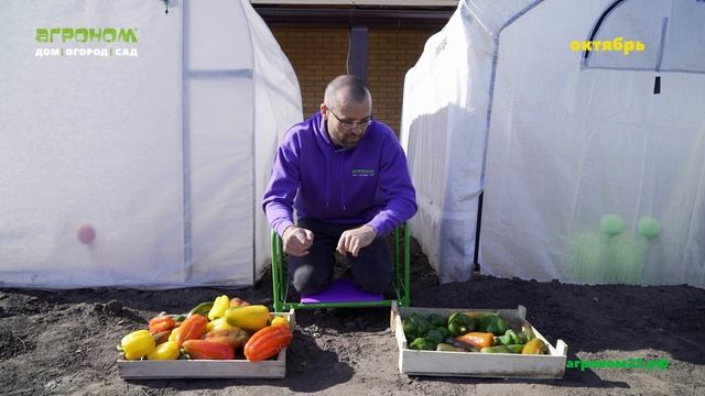 Сравнение теплиц Русской и Американской. 4 часть. смотреть онлайн