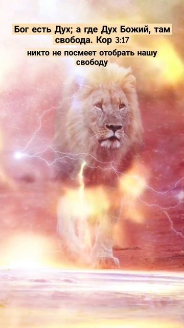 Никто не посмеет отобрать нашу свободу #Бог есть #Своб? смотреть онлайн