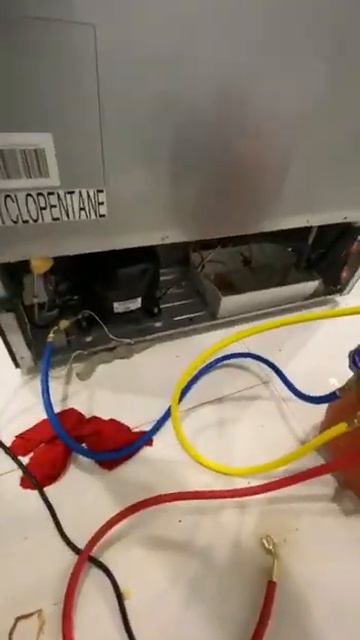 Ремонт холодильников СПБ смотреть онлайн