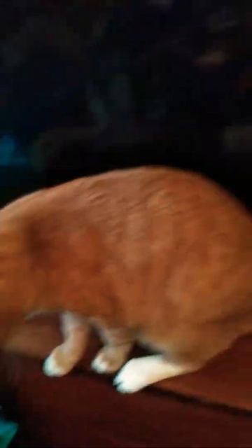 Мои дорогие подписчики fashion - мода.Встречи бывают разн? смотреть онлайн