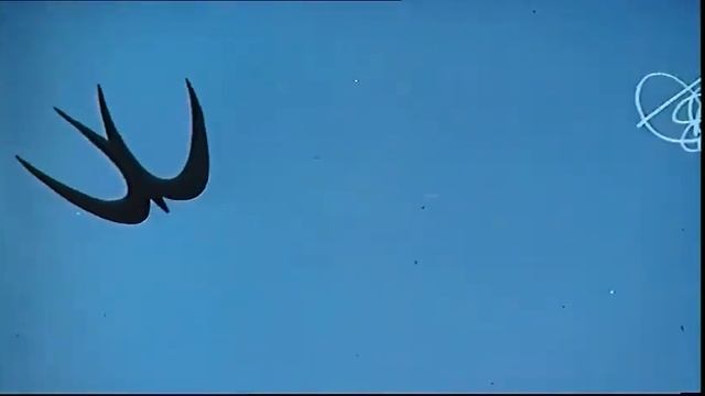 Мультик Баранкин будь человеком смотреть онлайн