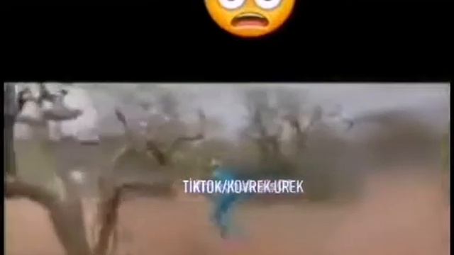 Прикол 2020г 1 июль смотреть онлайн