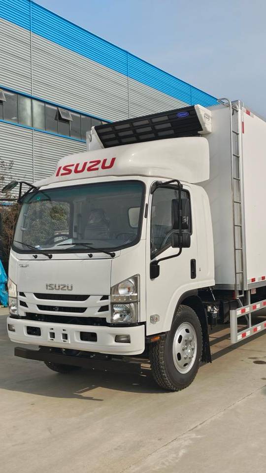 Isuzu Elf рефрижератор с ХОУ Thermo King RV-1200C от компании Милларда (г. Краснодар) смотреть онлайн
