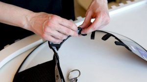 Защитный воротник для кошек и собак: зачем его назнача