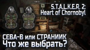 Что лучше Сева В или Странник в Сталкер 2
