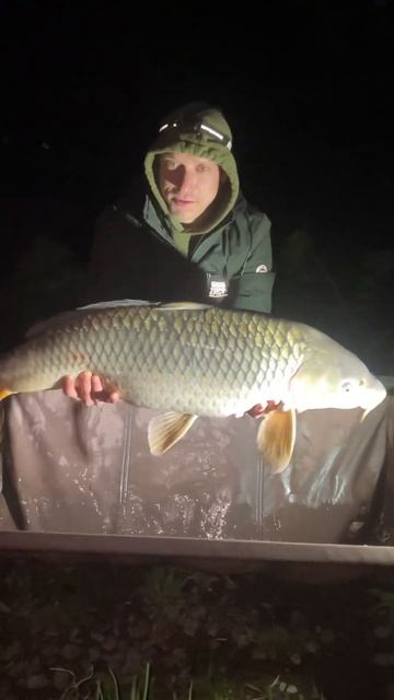 На бойл Carp Catchers #carpfishing #carp #fishing #kumfishing смотреть онлайн