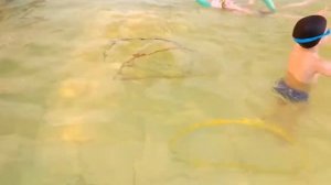 Самостоятельные игры в бассейне