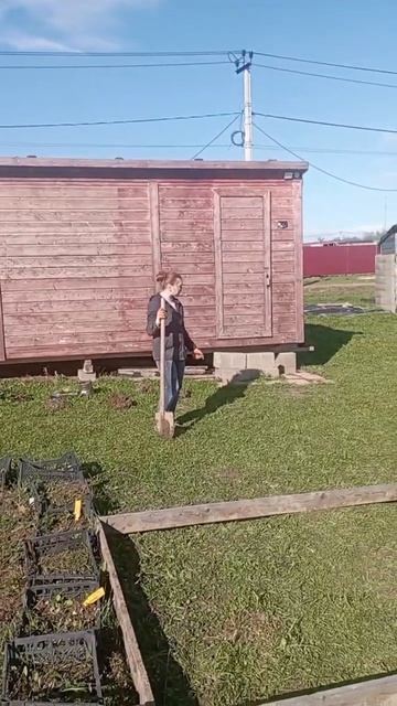 Пересадка туда сюда, весь участок в цветах