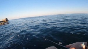 Ловим саргана на пилькеры - 2 серия. Как ловить саргана.