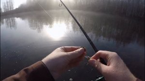 Рыбалка во время нереста. Как поймать рыбу и не уйти с 0