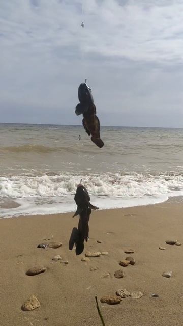 Рыбалка на Черном море 17 апреля 2023 г поймал 8 бычков по?