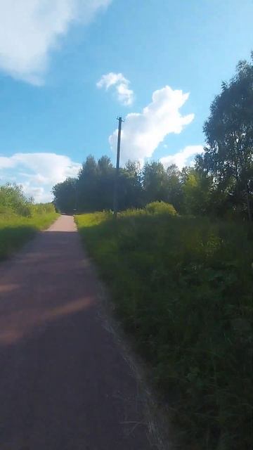 Велодорожка Москва-Санкт-Петербург.ВЕЛО 1 #remix #велосип смотреть онлайн
