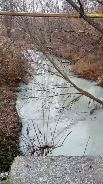 24 января 2025 г.