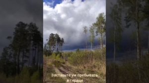 Роберт Адамс Истинное Я