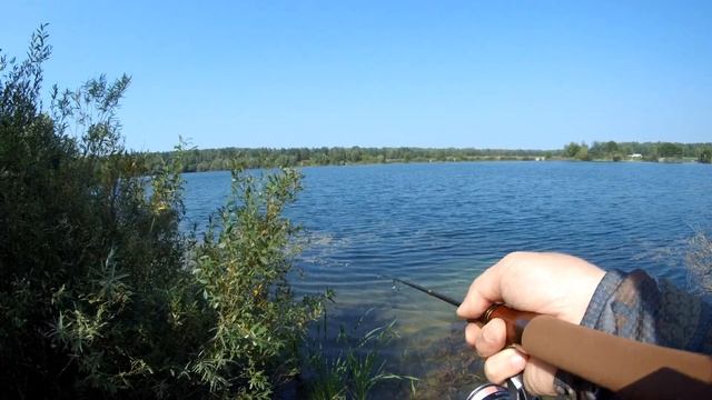 НОВИНКА 2024! Ультралайтовый спиннинг FARIO BRONZE. Обзор на в