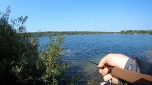 НОВИНКА 2024! Ультралайтовый спиннинг FARIO BRONZE. Обзор на в