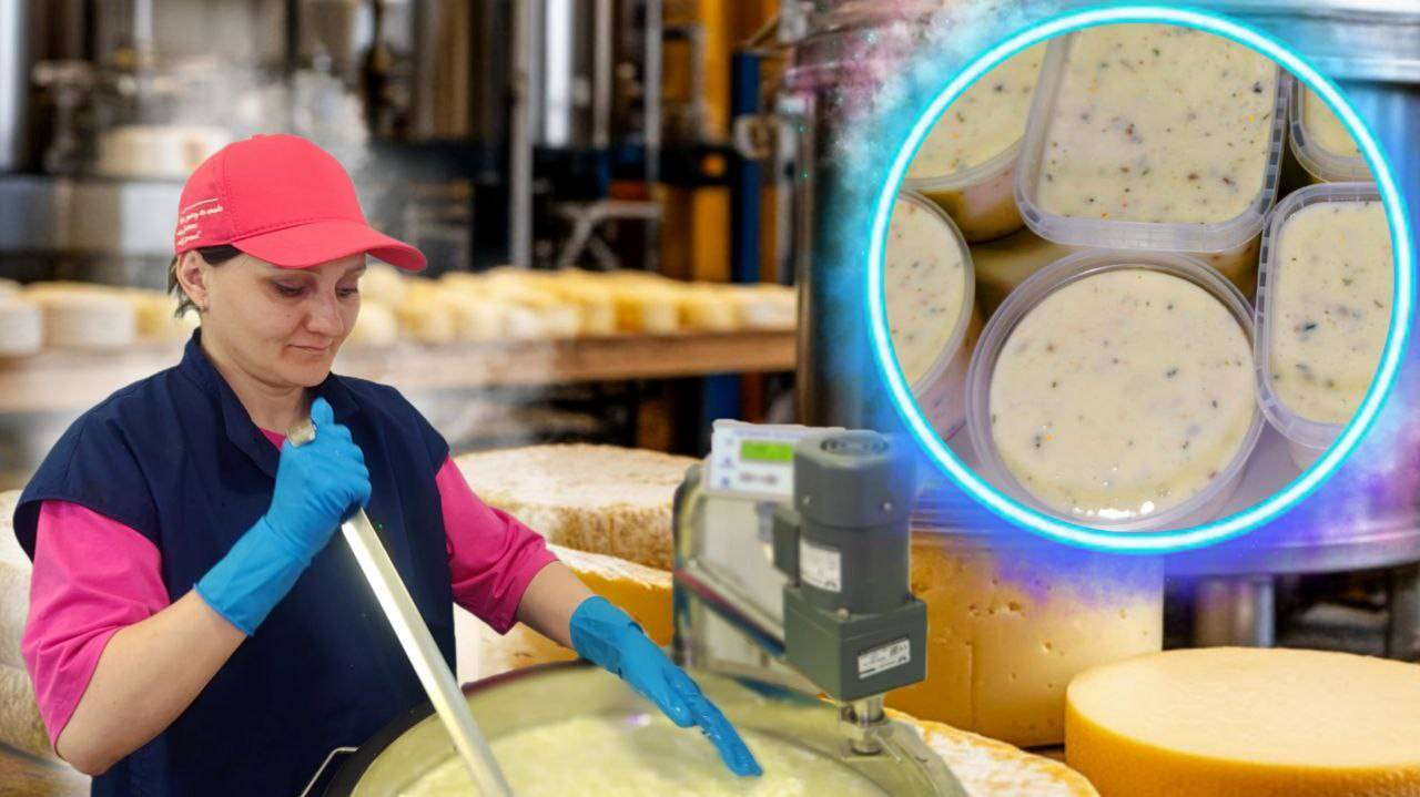 Плавленный сыр "Версаль"/ Анонс М.К. / Влог в машине : Мейто не закваска! Зачем нужна пастеризация? смотреть онлайн