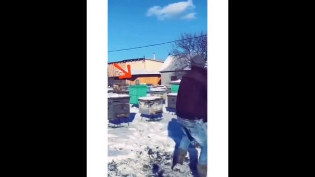 Заряд позитива №17. Подборка смешных видео с тик-тока. Розыгрыши пранки юмор штуки позитив приколы смотреть онлайн