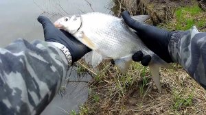 БОЛОНСКАЯ И МАТЧЕВАЯ УДОЧКА ЧТО ЛУЧШЕ