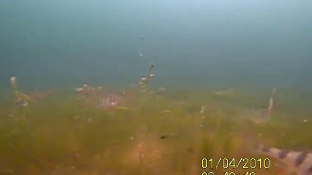 Окунь не клюет в марте