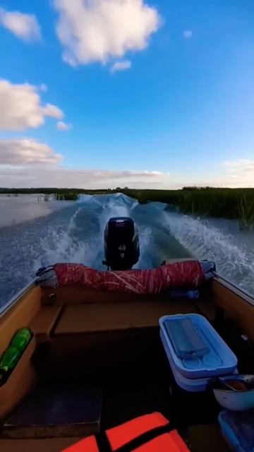 Давайте просто жить. #fishing#рыбалка#кайфули#shorts#астраха? смотреть онлайн