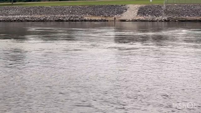 263. Празднуем Натули День рождения. смотреть онлайн