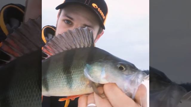 Зимова риболовля | Deeper CHIRP+ смотреть онлайн