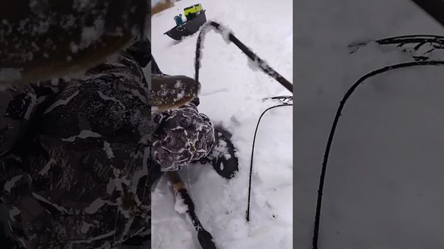 31января, в глухозимье щука тоже хочет кушать смотреть онлайн
