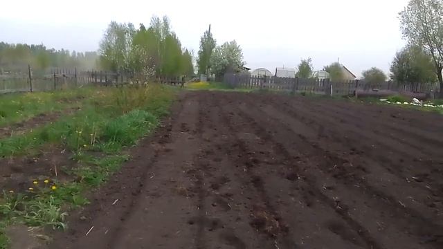 Посадка картофеля ОДИН ЧЕЛОВЕК/ Разметка участка/Рабо
