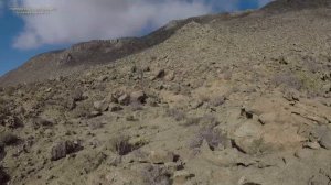 ПУСТЫНЯ АТАКАМА - 07 Пустыня вовсе не пустая #пустыня#Ат