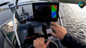 Режим ПЕРСПЕКТИВА  PANOPTIX LIVESCOPE