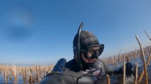 Подводная охота.Финский залив.