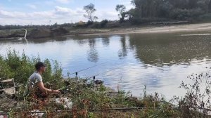 Осень на р.Кубань | Раздача Чехони на спиннинг