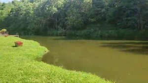 Благоустройство поселка 🌳👌