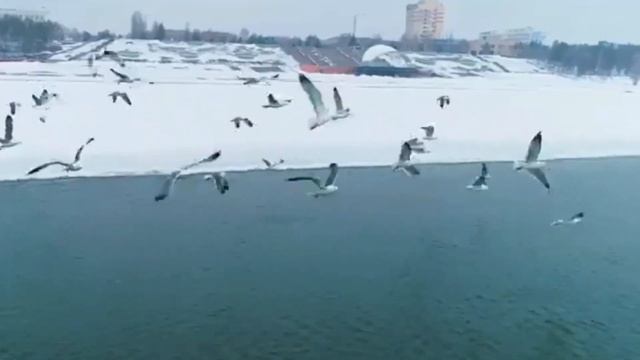 И снова новинка - песня от нашего поэта Олега Каринова смотреть онлайн