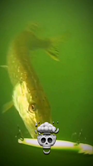 рыбалка Эдит 2 смотреть онлайн