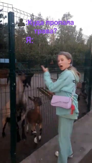 Эти козы съели ВСЮ ТРАВУ🤣 #рекомендации смотреть онлайн