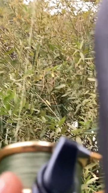 БЛЕСНА КОТОРАЯ КОСИТ ЩУКУ. МЕПС КЛАССИКА СРЕДИ БЛЕСЕН смотреть онлайн