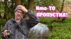 ОГО...КТО-ТО СТОЛЬКО ПРОПУСТИЛ! НАШЁЛ НА БЕРЕГУ РУЧЬЯ!