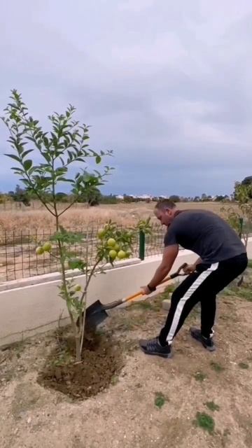 Инопланетный опыт 👽 На Земле сейчас есть души, у кото? смотреть онлайн