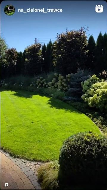 Красивейший сад 🪴 #дизайнсада #садстуями #туя #закрыт? смотреть онлайн