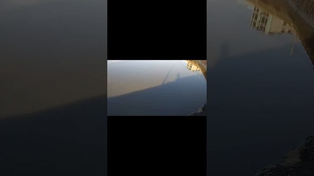 усач и золотой карась کپورچه طلایی و زردپر смотреть онлайн