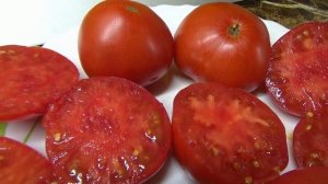 Новинки томатов 2023 года. Томат Блюз на блюде - экзотические помидоры с нежной мякотью. Дегустация.