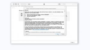 iPhone белый экран: как исправить проблему?
