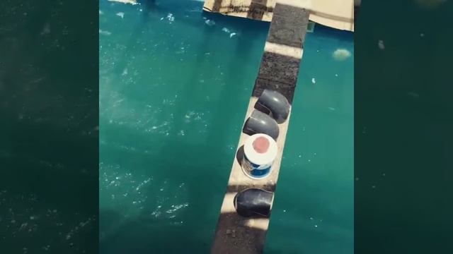 Самый большой композитный бассейн в Узбекистане 20м х 4 смотреть онлайн