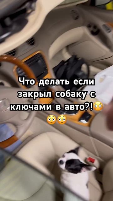 ЧТО ДЕЛАТЬ ЕСЛИ ЗАКРЫЛ КЛЮЧ 🔑 И СОБАКУ В АВТО?! 😱😱😱 смотреть онлайн
