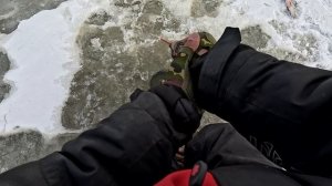 ЛИНЬ СО ЛЬДА ?? kак ловить линя зимой Ha мормышку и подле?