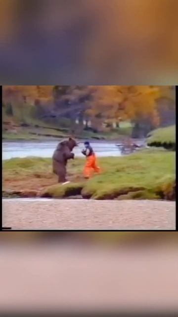 Когда приехал на любимое место порыбачить, а там медве смотреть онлайн