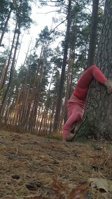 зарядка в лесу ,стойка на руках у дерева, растяжка о де? смотреть онлайн